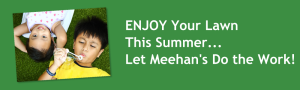 Meehans Lawn Care in Hagerstown, MD