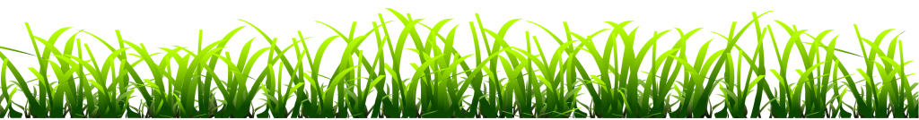 Green Grass Strip