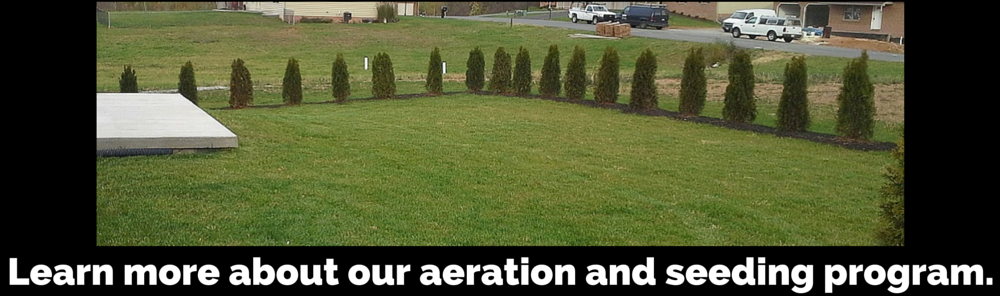 Aeration and seeding Hagerstown, MD